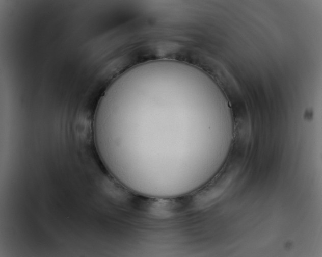 X0000103930527200809261706