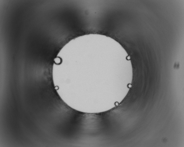 X0000103930528200809261706