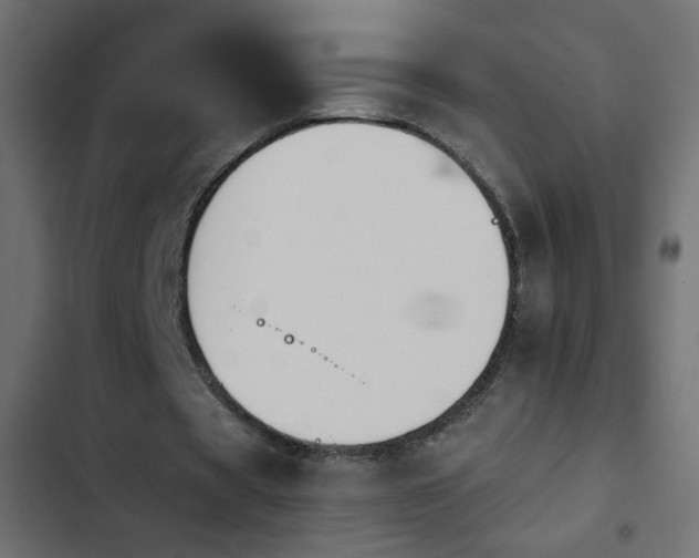 X0000103930529200809261705