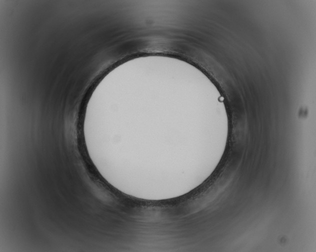 X0000103930530200809261705