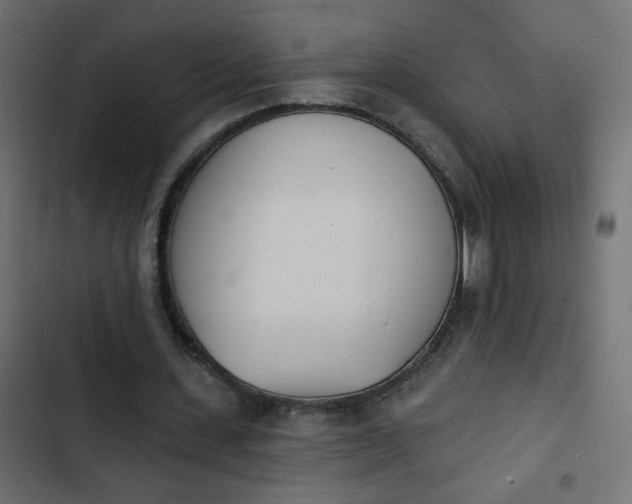 X0000103930531200809261705