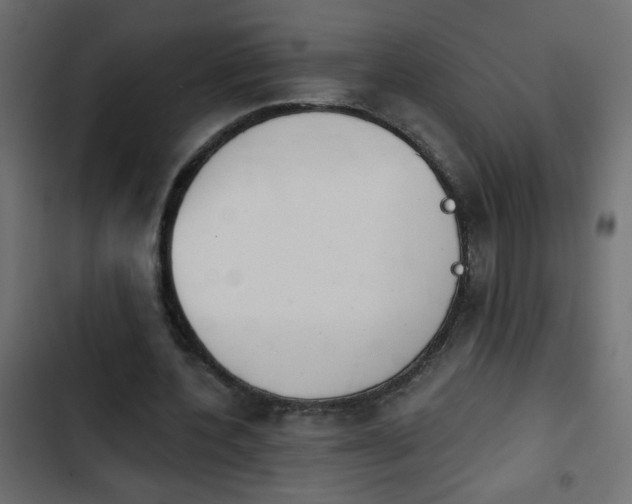 X0000103930532200809261705
