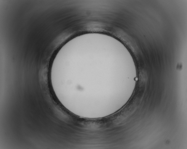 X0000103930533200809261705