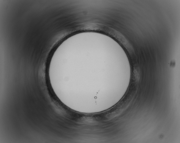 X0000103930534200809261705