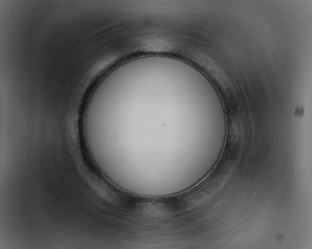 X0000103930535200809261705