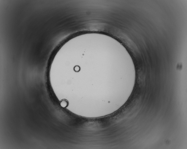 X0000103930536200809261705