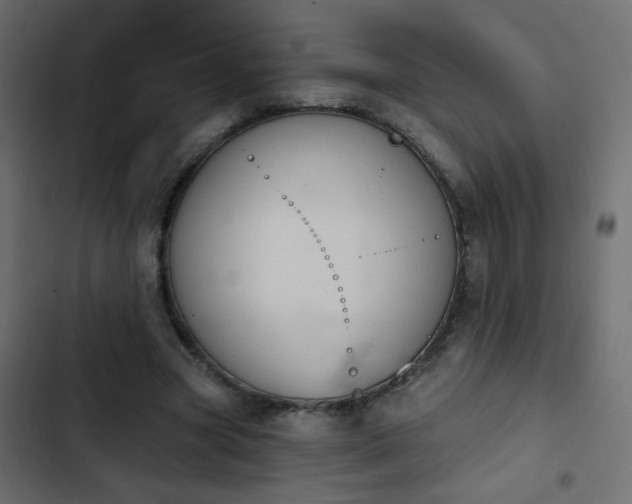 X0000103930537200809261705