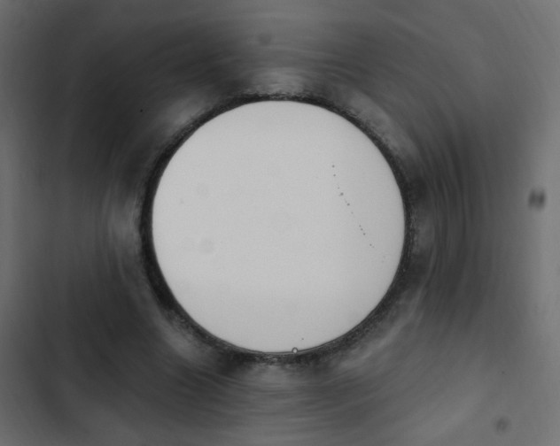X0000103930538200809261705