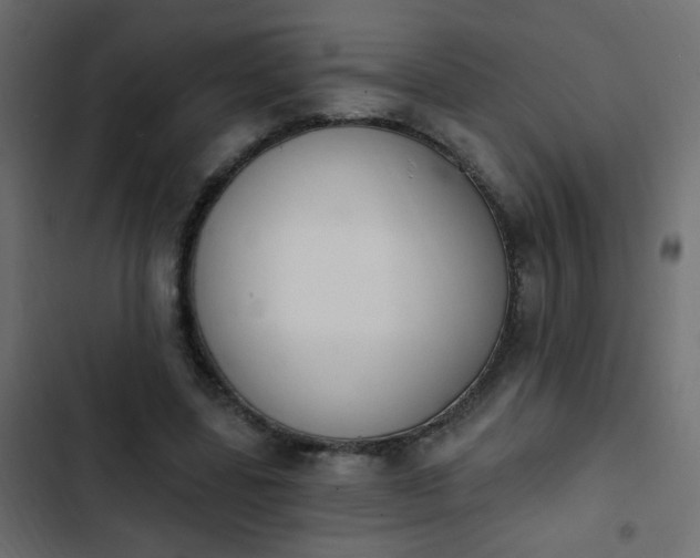 X0000103930539200809261705