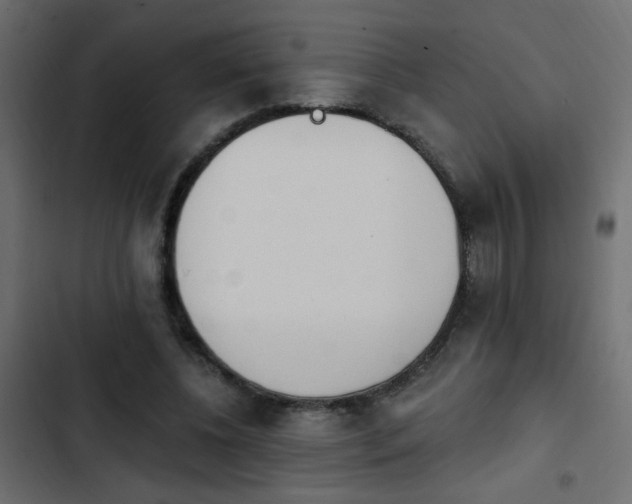 X0000103930540200809261705