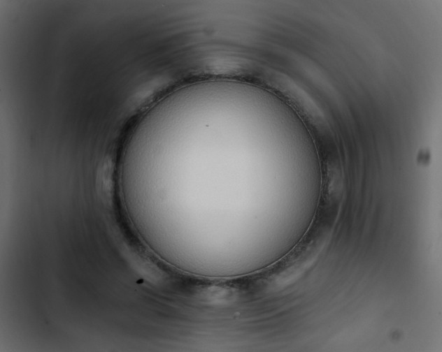 X0000103930542200809261705