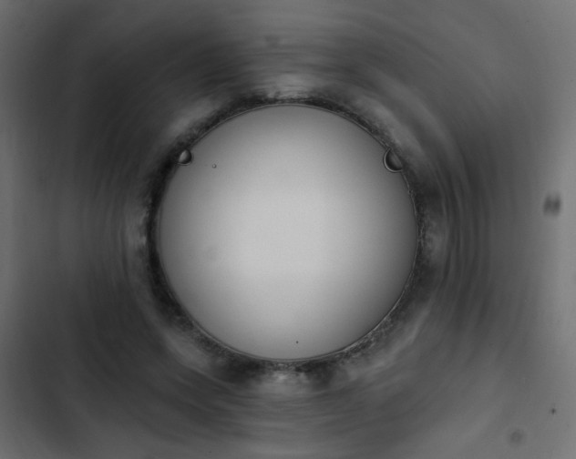 X0000103930543200809261705