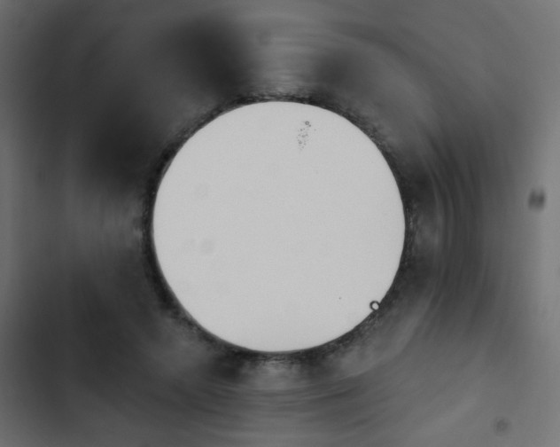 X0000103930546200809261706