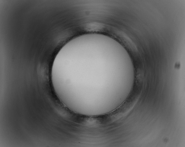 X0000103930547200809261706