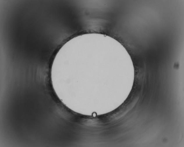 X0000103930548200809261706