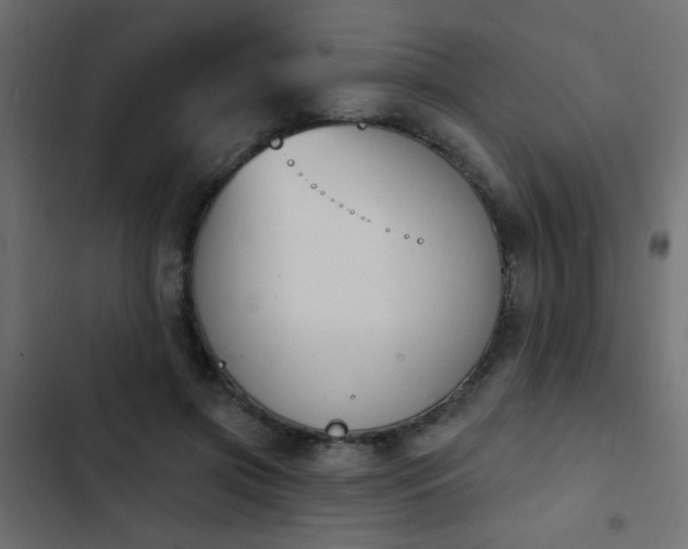 X0000103930549200809261706