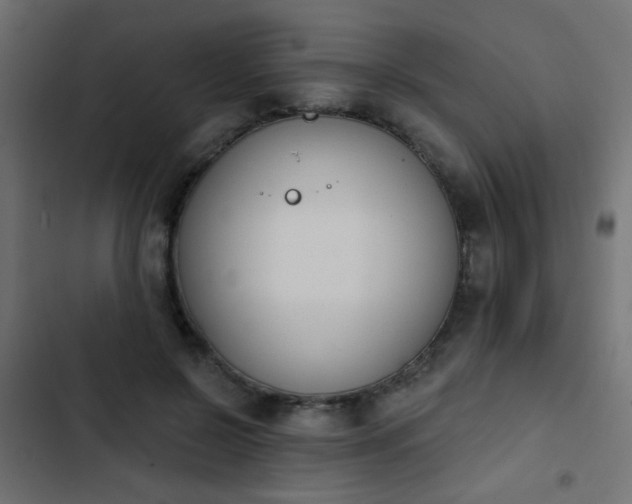 X0000103930550200809261706