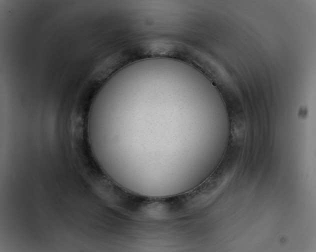 X0000103930551200809261706