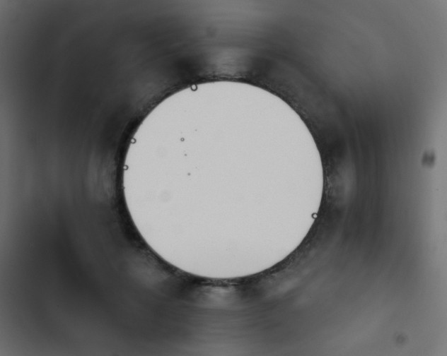 X0000103930552200809261706
