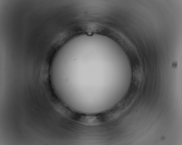 X0000103930554200809261706