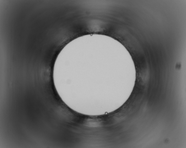 X0000103930556200809261706