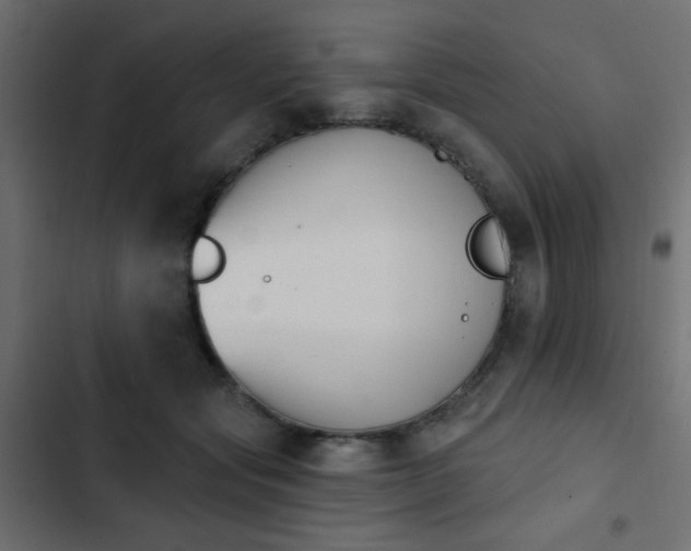 X0000103930557200809261706
