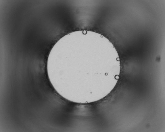 X0000103930558200809261706