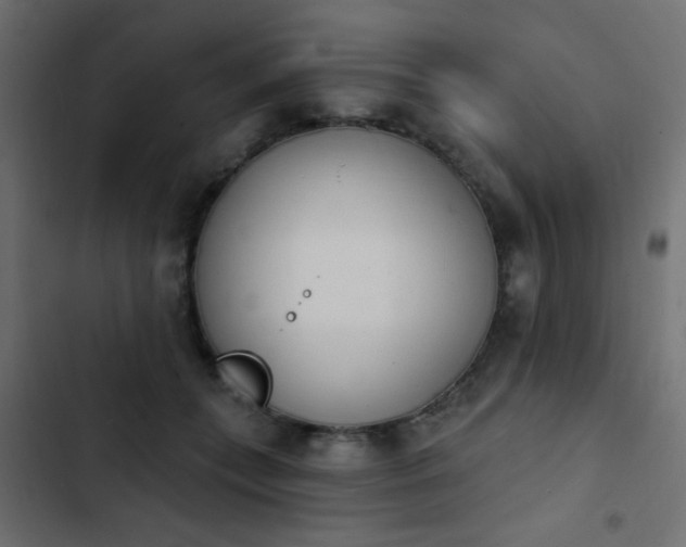X0000103930559200809261706