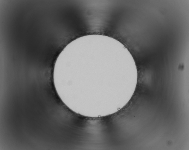 X0000103930560200809261706