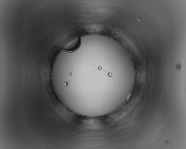 X0000103930561200809261706