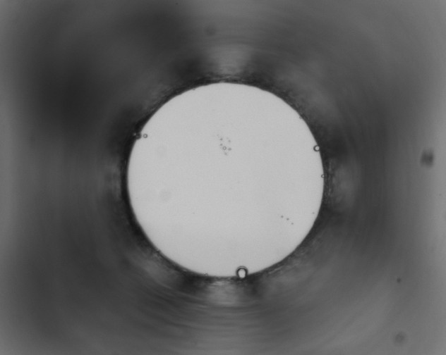 X0000103930562200809261706