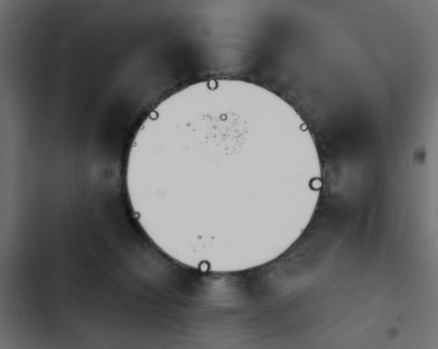 X0000103930564200809261706
