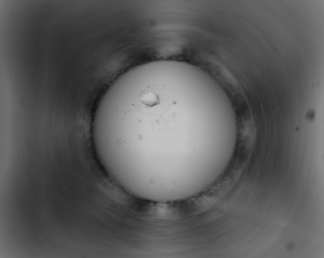 X0000103930565200809261706