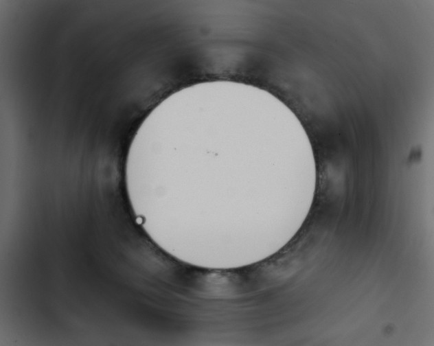 X0000103930566200809261706