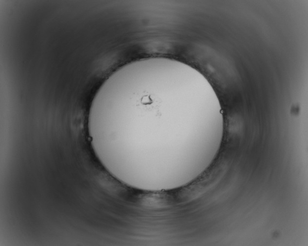 X0000103930567200809261706