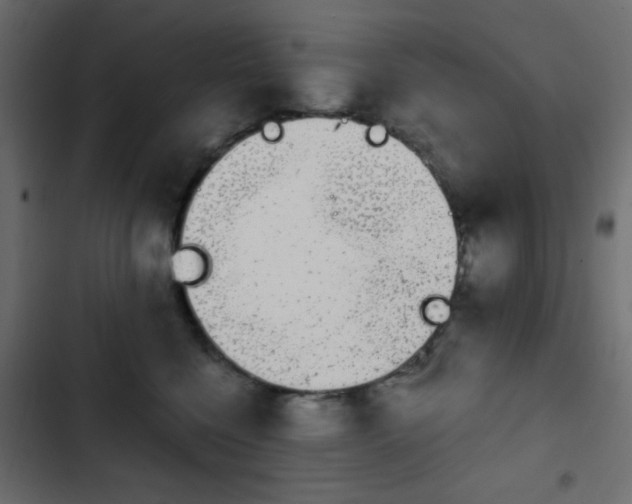 X0000103930568200809261706