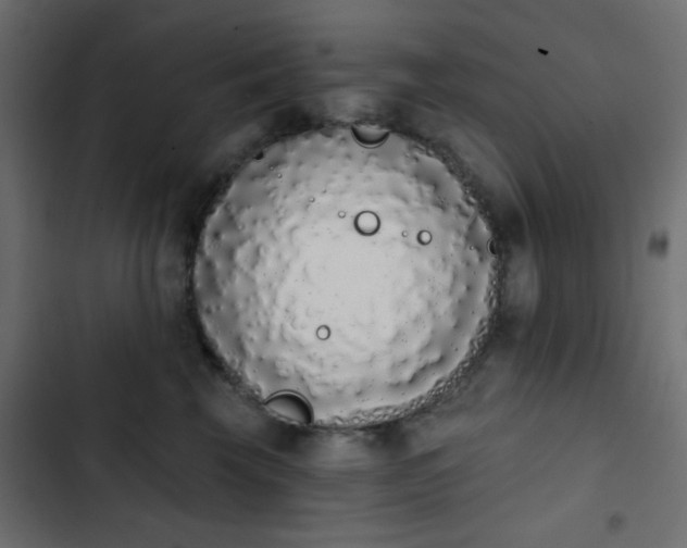 X0000103930569200809261706