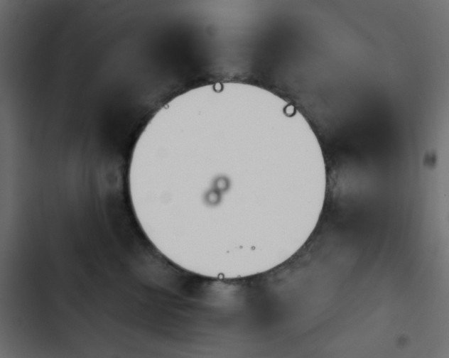 X0000103930570200809261706