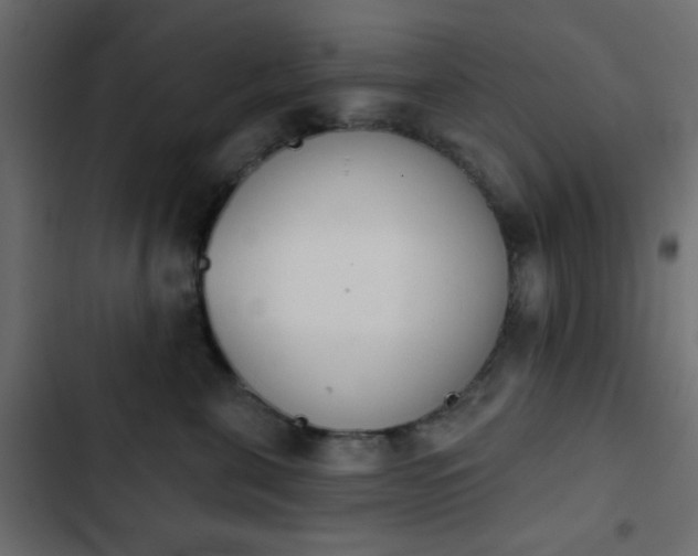 X0000103930571200809261706