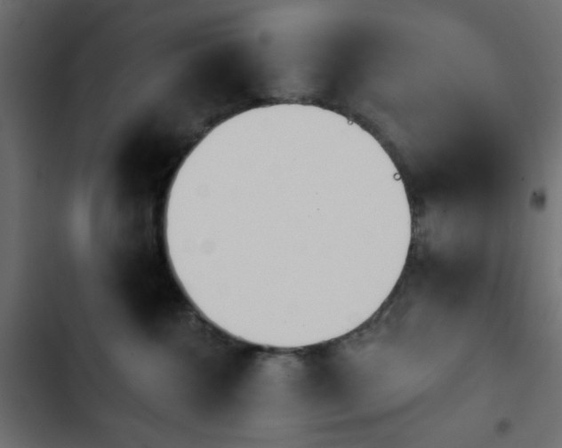 X0000103930572200809261706