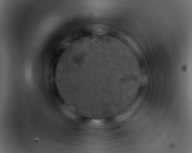 X0000103930573200809261706