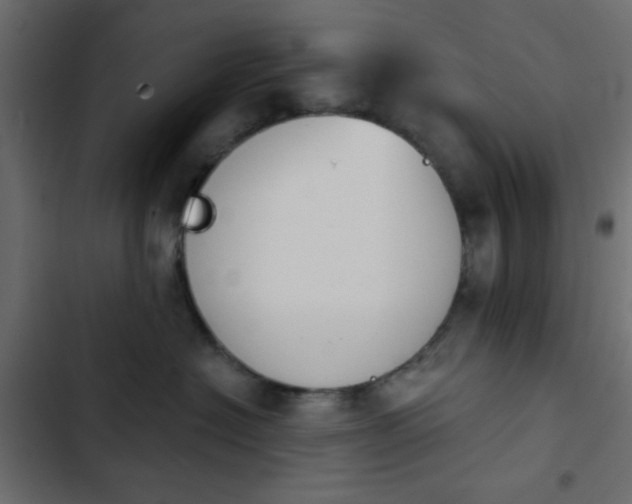 X0000103930574200809261706