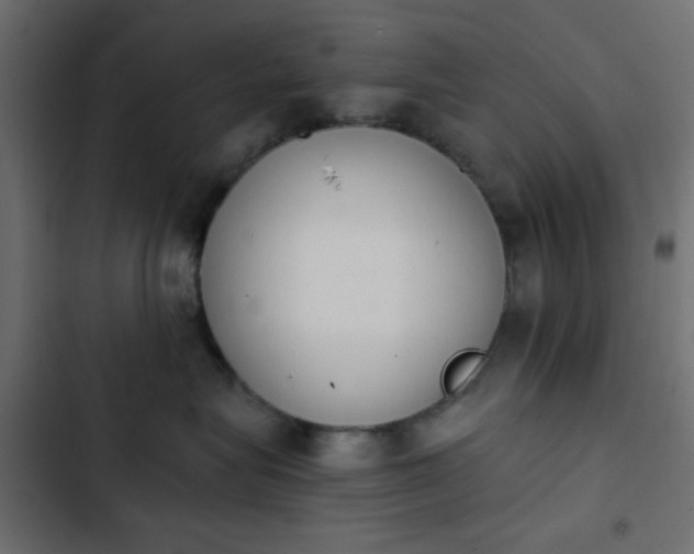 X0000103930575200809261706