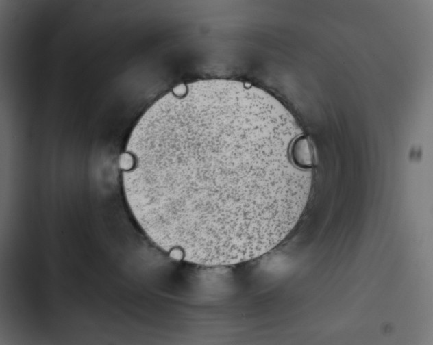 X0000103930576200809261706