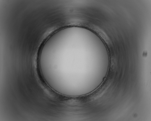 X0000103930578200809261705