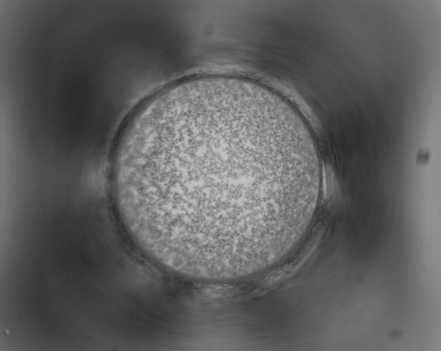 X0000103930579200809261705