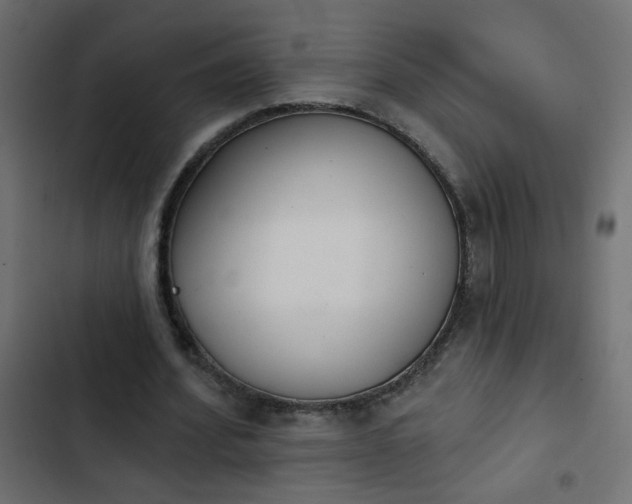 X0000103930580200809261705