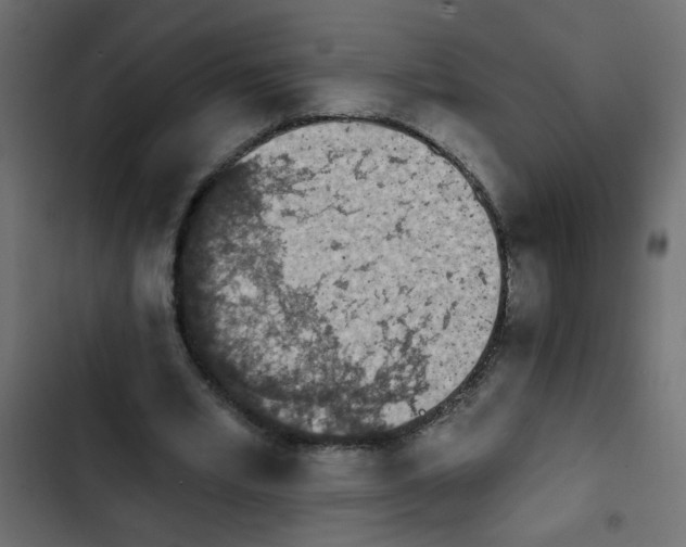 X0000103930581200809261705