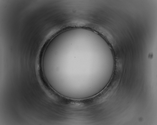 X0000103930582200809261705