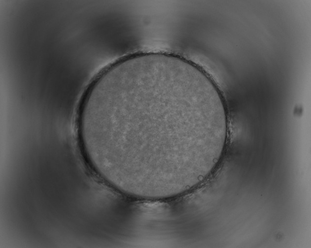X0000103930583200809261705